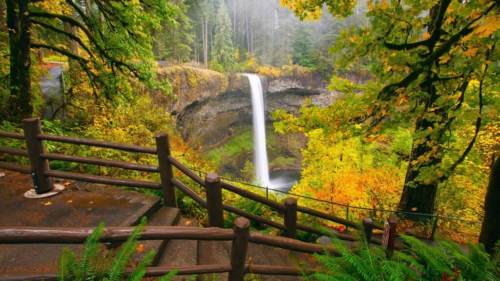 Man, 20, dies in ‘horrific accident’ after slipping from towering Oregon waterfall Man, 20, dies in ‘horrific accident’ after slipping from towering Oregon waterfall