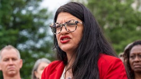 Tlaib under fire for working to unseat two Jewish House Democrats in Florida: ‘No coincidence’