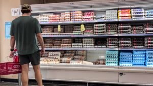 FDA upgrades egg recall to highest risk level as salmonella sickens dozens across several states FDA upgrades egg recall to highest risk level as salmonella sickens dozens across several states