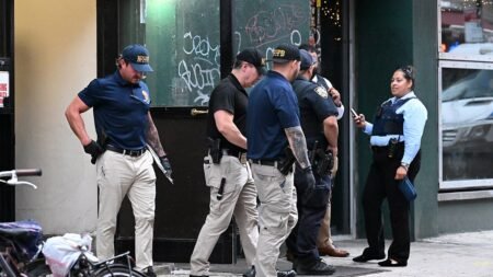 NYPD officers fatally shoot man armed with butcher knife after he advanced toward cops: police NYPD officers fatally shoot man armed with butcher knife after he advanced toward cops: police