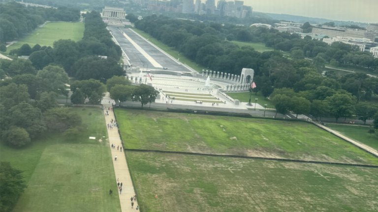 Trump blames vandals for dead grass on National Mall where he hosted 4th of July celebration Trump blames vandals for dead grass on National Mall where he hosted 4th of July celebration