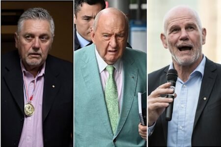 Ray Hadley, Peter FitzSimons told about alleged assaults