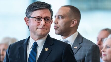 Mike Johnson taunts Hakeem Jeffries for losing Dems’ civil war ‘in his own backyard’