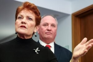 One Nation’s reform is economic vandalism dressed up as compassion