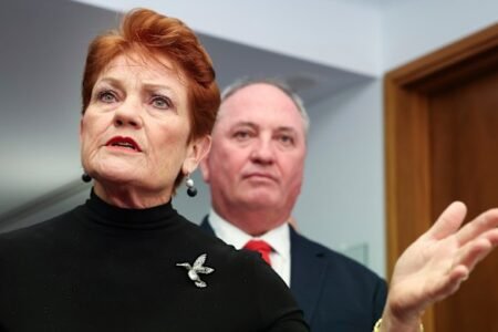 One Nation’s reform is economic vandalism dressed up as compassion