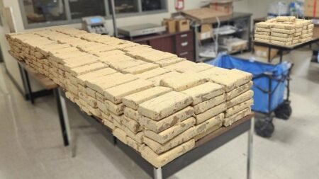 CBP officers seize million in illegal drugs at San Diego border ports, DHS says CBP officers seize million in illegal drugs at San Diego border ports, DHS says