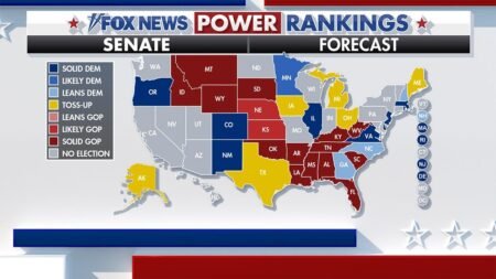 Fox News Power Rankings: As Democrats turn left, Black voters tap the brakes Fox News Power Rankings: As Democrats turn left, Black voters tap the brakes