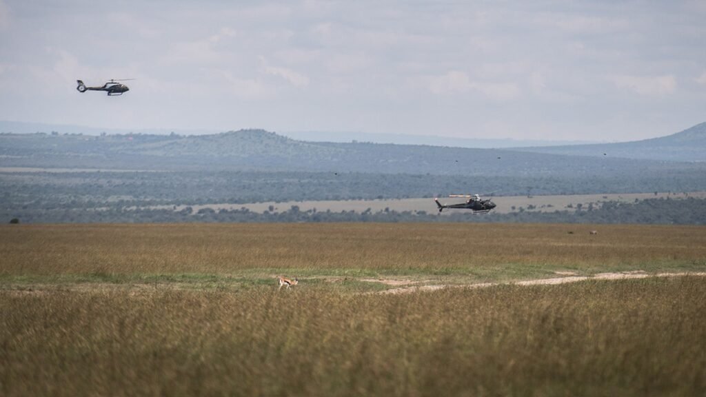 5 Americans killed in helicopter crash in Kenya, including Telemundo executive 5 Americans killed in helicopter crash in Kenya, including Telemundo executive