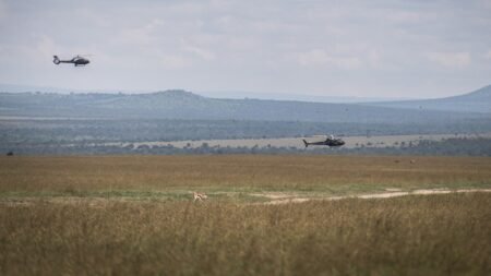 5 Americans killed in helicopter crash in Kenya, including Telemundo executive