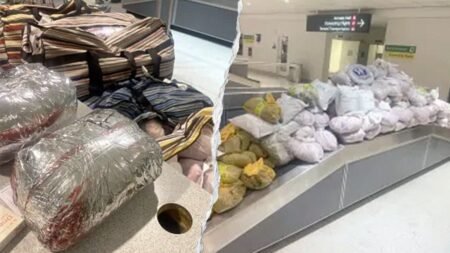 CBP officers seize nearly 850 pounds of khat packed into 12 suitcases after flight from London