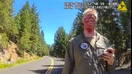 Bloodied, ejected Marine Corps pilot seen calm and collected after Washington crash destroys aircraft Bloodied, ejected Marine Corps pilot seen calm and collected after Washington crash destroys aircraft