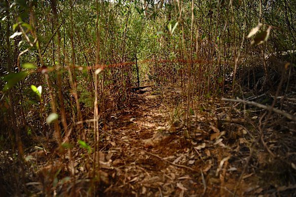 The beginning of the Bonnum Pic Walking Trail.
