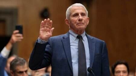 Fauci’s lawyers launch legal defense fund as federal, state investigations mount against him Fauci’s lawyers launch legal defense fund as federal, state investigations mount against him