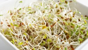 E coli and salmonella outbreak linked to alfalfa sprouts sickens dozens across multiple states