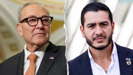 Schumer ducks question on campaigning with socialist candidate who refuses to back him as leader
