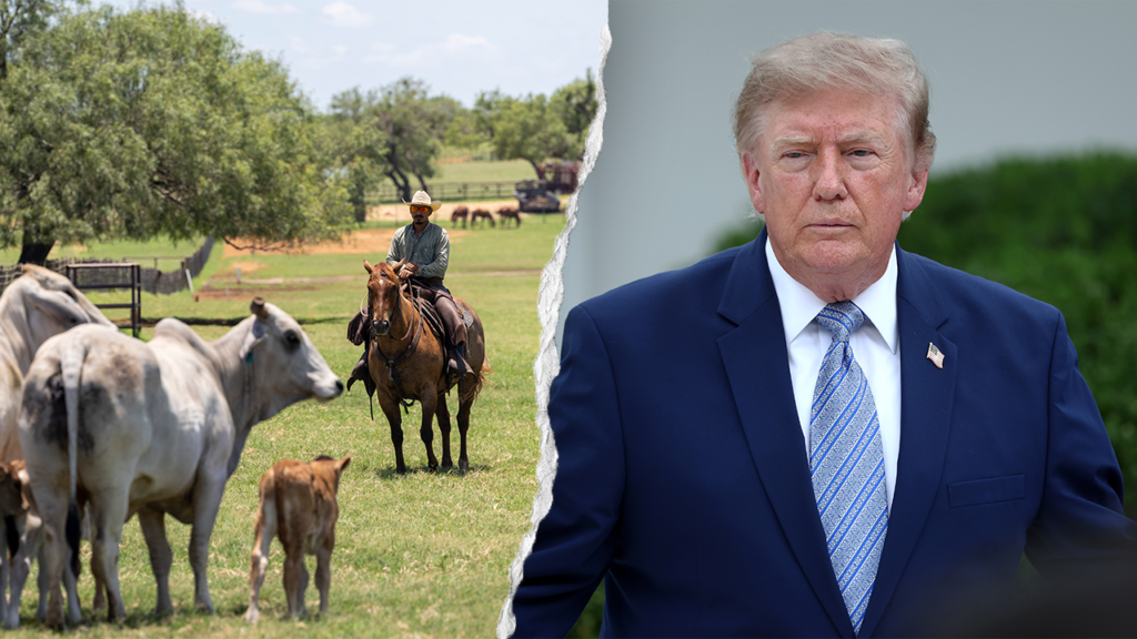 Trump’s foreign beef push to cut grocery costs sparks GOP revolt from ranching country