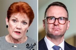 Labor and the Liberals are both right and both wrong in their response to One Nation