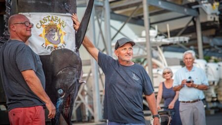 Massachusetts fishermen land 1,260-pound blue marlin, just short of world record
