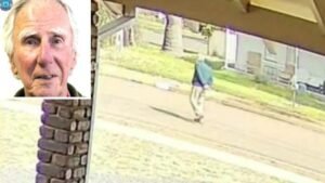 Search resumes for elderly man missing in Wagin