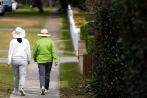 Why I love Cheltenham, Sydney – even through some people think it’s boring Why I love Cheltenham, Sydney – even through some people think it’s boring