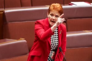 One Nation’s idea of Australian culture is obsolete