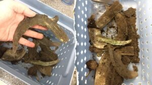 Mysterious 3,000-year-old hoard with violently smashed sword emerges during construction project Mysterious 3,000-year-old hoard with violently smashed sword emerges during construction project