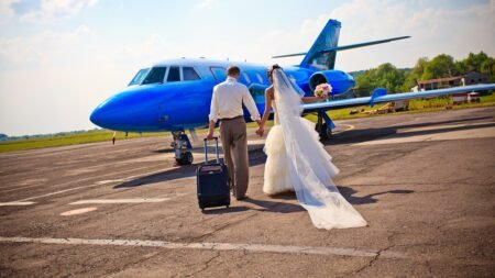 Pilot marries Vegas-bound couple mid-flight as 178 passengers become wedding guests Pilot marries Vegas-bound couple mid-flight as 178 passengers become wedding guests