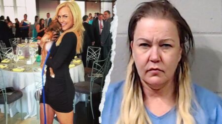 Former news anchor pleads guilty to stabbing mother to death on Halloween Former news anchor pleads guilty to stabbing mother to death on Halloween