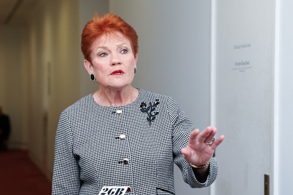 One Nation leader’s conflicting comments on migration and visas One Nation leader’s conflicting comments on migration and visas