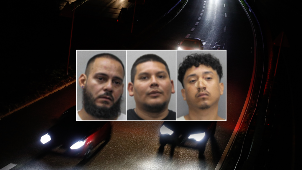 3 illegal aliens arrested in major Virginia child exploitation sting released on bond