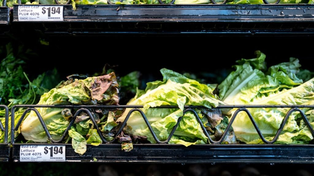 Massive lettuce-linked outbreak expands to 3 more states with over 11,000 illnesses Massive lettuce-linked outbreak expands to 3 more states with over 11,000 illnesses