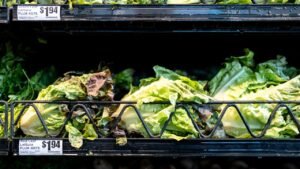 Massive lettuce-linked outbreak expands to 3 more states with over 11,000 illnesses