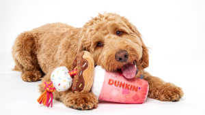 Dunkin’ opened its first-ever dog drive-thru with treats and toys for pups on National Dog Day Dunkin’ opened its first-ever dog drive-thru with treats and toys for pups on National Dog Day