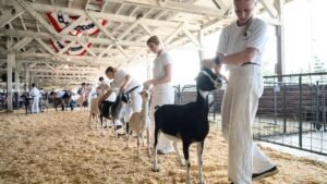 North Carolina warns mobile petting zoo visitors of rabies exposure after baby goats test positive North Carolina warns mobile petting zoo visitors of rabies exposure after baby goats test positive