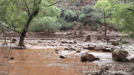 Urgent search underway for more than a dozen people after Grand Canyon flash flood Urgent search underway for more than a dozen people after Grand Canyon flash flood