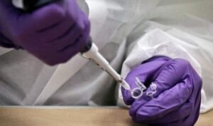 DNA technology helps identify New Brunswick woman decades after death DNA technology helps identify New Brunswick woman decades after death