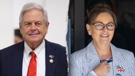 Ralph Norman suggests special GOP primary runoff rival Darline Graham is the establishment’s chosen candidate Ralph Norman suggests special GOP primary runoff rival Darline Graham is the establishment’s chosen candidate