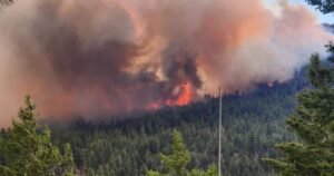 B.C. offering free N95 masks for B.C. Interior as wildfire smoke persists