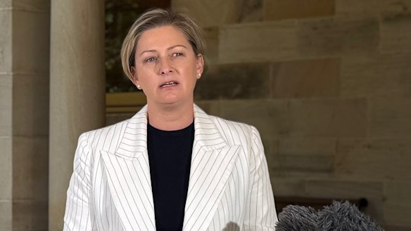Under-fire Minister for Domestic and Family Violence Amanda Camm refused to provide an update on key reforms for victim-survivors and at-risk women on Thursday. 