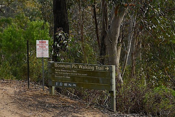 Lily Hooper began her hike on the Bonnum Pic Walking Trail on August 12.