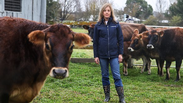 Dr Bronwyn Darlington with her Jersey cows on the family farm in Carwoola, NSW.