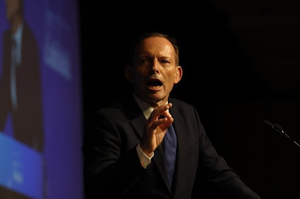 Tony Abbott, pictured in May after his election as Liberal Party president, says section 18C is a risk to free speech.