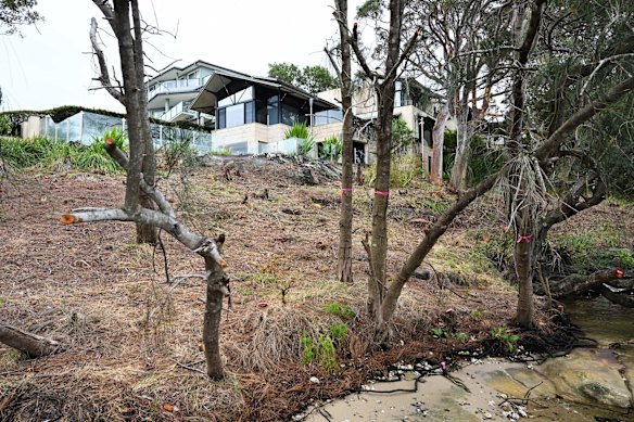 Former Lane Cove mayor Scott Bennison wanted to “throw the book” at the tree vandals.