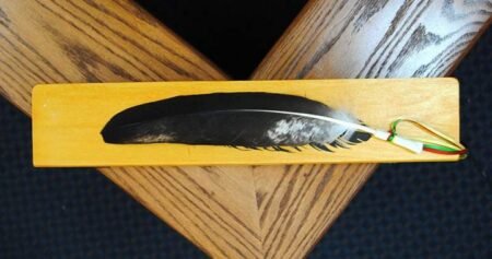 Saskatchewan courts to allow use of eagle feathers Saskatchewan courts to allow use of eagle feathers