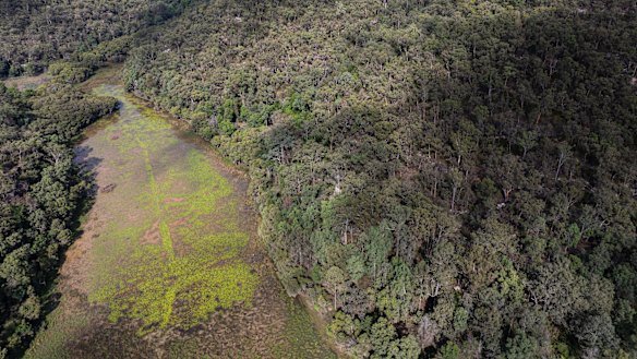 The wetland in a valley below the Wheeny Creek site.