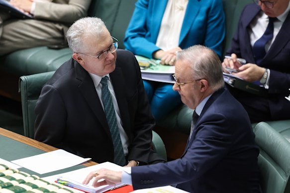 Home Affairs Minister Tony Burke and the prime minister.