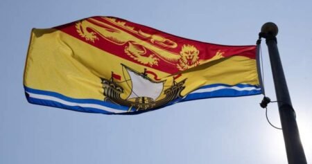 New Brunswick horse owners warned about potential virus exposure New Brunswick horse owners warned about potential virus exposure