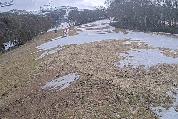 A snowcam view of Thredbo this week. The mountain is usually covered in white at this time of year.