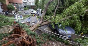 Air Canada flights resume following Typhoon Dolphin in southern China Air Canada flights resume following Typhoon Dolphin in southern China