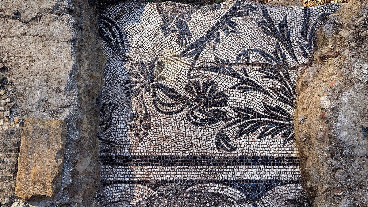 Aerial of intricate mosaic at ancient site